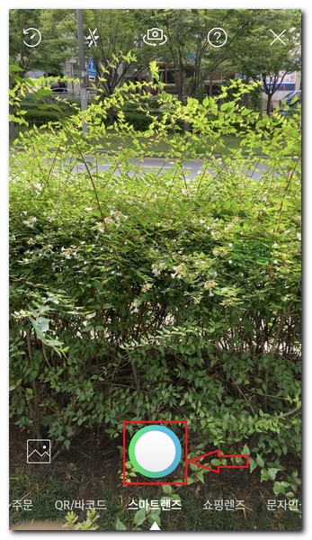 스마트렌즈 선택