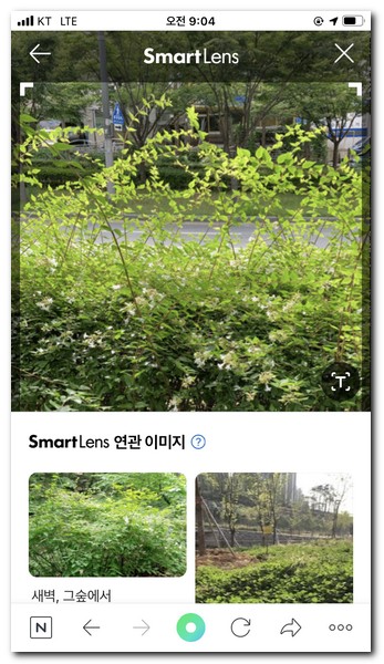 연관되는 이미지