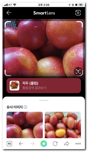 스마트렌즈로 검색