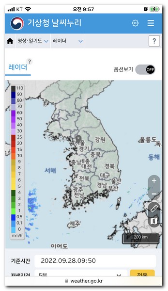 레이더 영상 확인