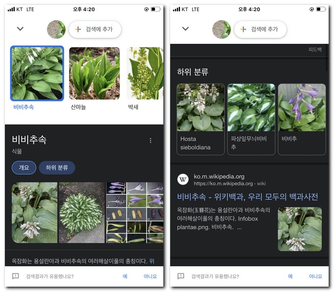 구글 검색 결과