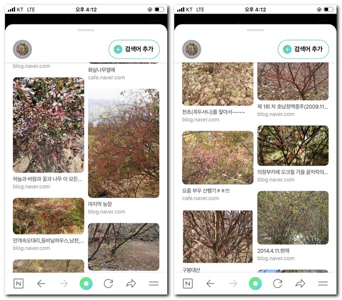 비슷한 사진 검색