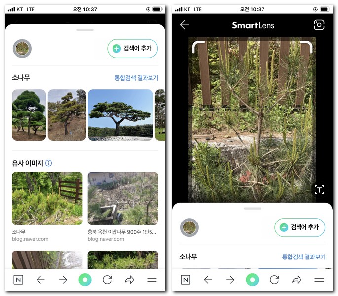 나무 이름 알려주는 앱 사용 방법