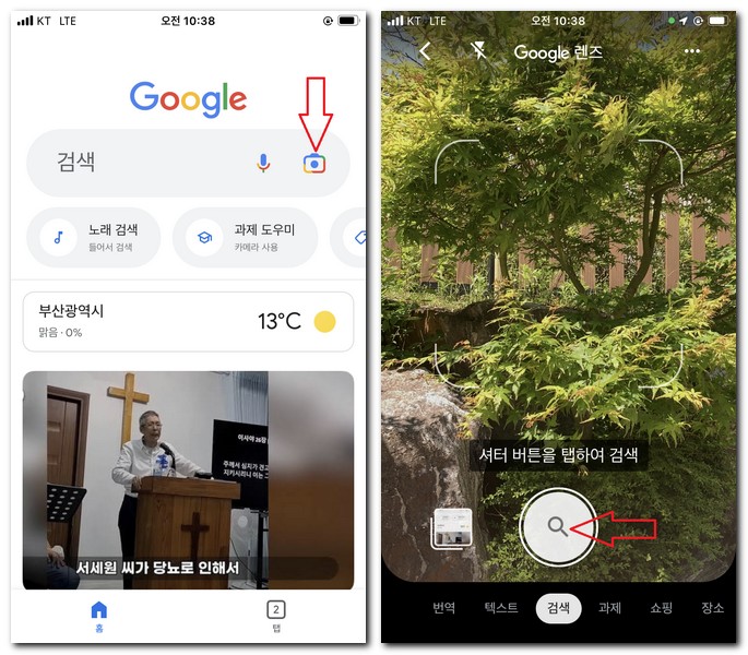 나무 이름 알려주는 앱 사용 방법