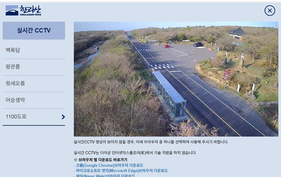제주 천백고지 실시간CCTV 보는 방법